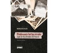 Professore lei ha errato. Segni di vita all'ombra del Vesuvio