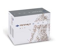 PROFHILO BODY KIT