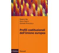 Profili costituzionali dell'Unione Europea. Processo costituente e governance economica