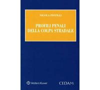 Profili penali della colpa stradale