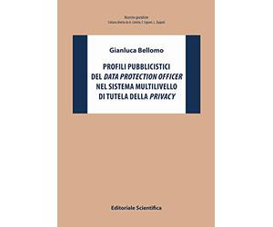 Profili pubblicistici del data protection officer nel sistema multilivello di tutela della privacy