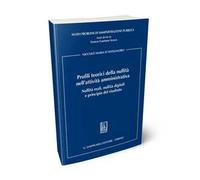 Profili teorici della nullità nell'attività amministrativa. Nullità reali, nullità digitali e principio del risultato