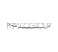 Paraurti - modanatura decorativa/protettiva BLIC 5703-05-3506924P destra