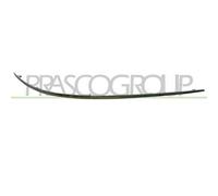 Profilo Cromato Destro Paraurti Anteriore Per Mercedes B Class (w245) 2005-2008