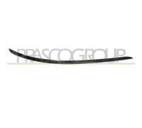 Profilo Cromato Destro Per Mercedes B Class (w245) Dal 2009 Al 2011 Lato Destro
