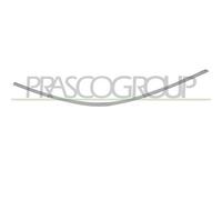 Modanatura destra paraurti posteriore per mercedes classe c w204 2011- cromata