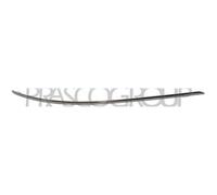 Profilo Cromato Dx Paraurti Posteriore Mercedes C Class (w204/s204) 2007-2010 Dx