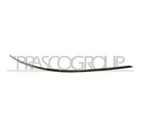 Profilo Cromato Inferiore Destro Paraurti Anteriore Per Mercedes C Class (w204/s