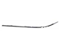 Profilo cromato modanatura anteriore SX per 7 e65 e66 2005-2008 51117135557