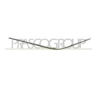 Profilo Cromato Modanatura Sx Paraurti Anteriore E Class (w210/s210) 99/02 Sx