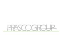 Profilo Cromato Porta Anteriore Sinistra Mercedes E Class (w212/s212) 2013-2016