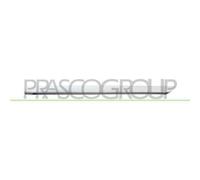 Profilo Cromato Porta Posteriore Sinistra Renault Clio 2019 Lato Sx 828d13761r