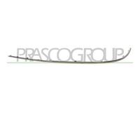 Profilo Cromato Sinistro Mercedes E Class (w211/s211) 2002/2007 Sx A2118852721