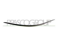 Profilo Cromato Sinistro Mercedes E Class (w211/s211) 2007/2009 Sx A2118852321