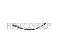 Profilo Cromato Sinistro Per Volkswagen Passat B5 Dal 2000 Al 2005 Lato Sinistro