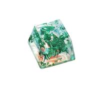 Profilo dell'OEM dei keycaps della resina con le luci posteriori per le tastiere meccaniche Keycap traslucente Keycap di personalità resistente all'usura Keycaps