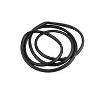 Profilo Guarnizione in gomma per tettuccio apribile per Odyssey 2018 2019 2020 2021 2022 Sigillante in