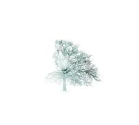 Profilo laterale - Gioco puzzle da 2000 pezzi per adulti - Ogni pezzo si incastra perfettamente (14 anni+)