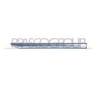 PRASCO ME0291401 Modanatura decorativa / protettiva, Parafango