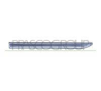 PRASCO ME0291402 Modanatura decorativa / protettiva, Parafango