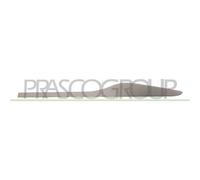 Profilo Porta Posteriore Sinistra Abs RENAULT CLIO 2012/2016 LATO SX 828218510R