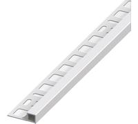 Profilo Quadrato Chiuso Jolly Alluminio Argento Satinato Mm 10 x 2 5 M 5
