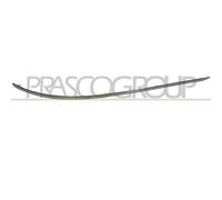 Prasco ME0291274 - Modanatura Decorativa/Protettiva, Paraurti