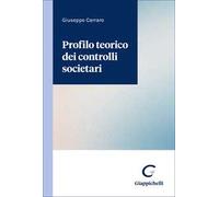 Profilo teorico dei controlli societari