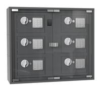 Profirst LockMaster - Serratura elettronica, apertura di emergenza, in acciaio, antracite, disco in plastica, 6 scomparti, materiale di fissaggio incluso