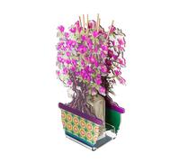 Profumatore cristallo acrilico BONSAI MAGNOLIA Viola