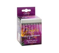Profumatore per Condizionatore e Aspirapolvere con Sacchetto AmerAir Grecale, 3pz - art.950
