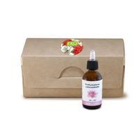 PROFUMO CONCENTRATO - Idea Regalo 30 ml