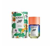 Profumo Unisex Loewe PAULA'S IBIZA EDT 100 ml Paula's Ibiza Eclectic