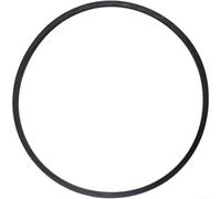 Progettato per adattarsi a 302040014 nastro trasportatore a spirale per DB7659 DB7659H spazzaneve con gomma per tutto l'anno prontezza