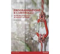 Programmazione e controllo. Guida alla soluzione di esercizi e problemi