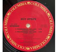 Roy Ayers - Programmed For Love