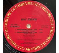 Roy Ayers - Programmed For Love