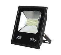 Proiettore A LED Faretto DC 12V 24V 36Volt Ha Condotto La Luce Impermeabile 30W50W100w Bianco Freddo For Esterni For Lampione Da Giardino Garage da giardino(30W-waterproof)