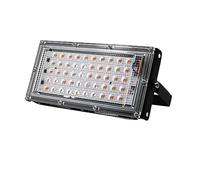 Proiettore A LED For Esterni Da 50W 100W Spettro Completo Lampada For La Crescita E Piante Faretto A Lampione Led Coltiva Luce Garage da giardino(100W No Plug)