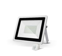 Proiettore A LED Sensore Di Movimento PIR 30W 50W 100W Riflettore Bianco Caldo Freddo Impermeabile IP66 Illuminazione A Induzione For Esterni Faretti da Esterno(Cold White,MOTION SENSOR_30W)