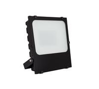 Proiettore LED 150W 145lm/W IP65 HE Frost PRO Regolabile