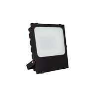 Proiettore LED 50W 145lm/W IP65 HE Frost PRO Regolabile