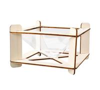 Proiettore ologramma multiuso in legno Set pratico per assemblaggio Esperimento ottico Strumento didattico fisica per aiuti scientifici in classe per studenti