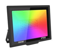 Proiettori A LED RGB Da 30W-100W, Con Telecomando, A Colorati For Esterni For Interni(1x100W)