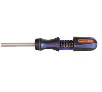 Projahn 4192 - Cacciavite a cricchetto da 1/4" con scomparto portainserti