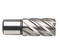 Projahn Punta per carotaggio HSS 20,0 mm profondità di taglio 55,0 mm 38520055