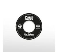 Project Gemini After the Dawn (Large Plants Remix)/Darkness Rising (Vinyl LP)
