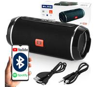 PROLECH Altoparlante Bluetooth Portatile BT460 (Nero)