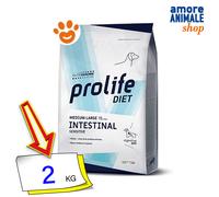 Prolife Dog Veterinary Medium Large Intestinal Sensitive Cibo Secco Cani 2/8 Kg