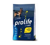 Prolife Smart Adult Medium/ Large Breed Pollo & Riso - 12 kg